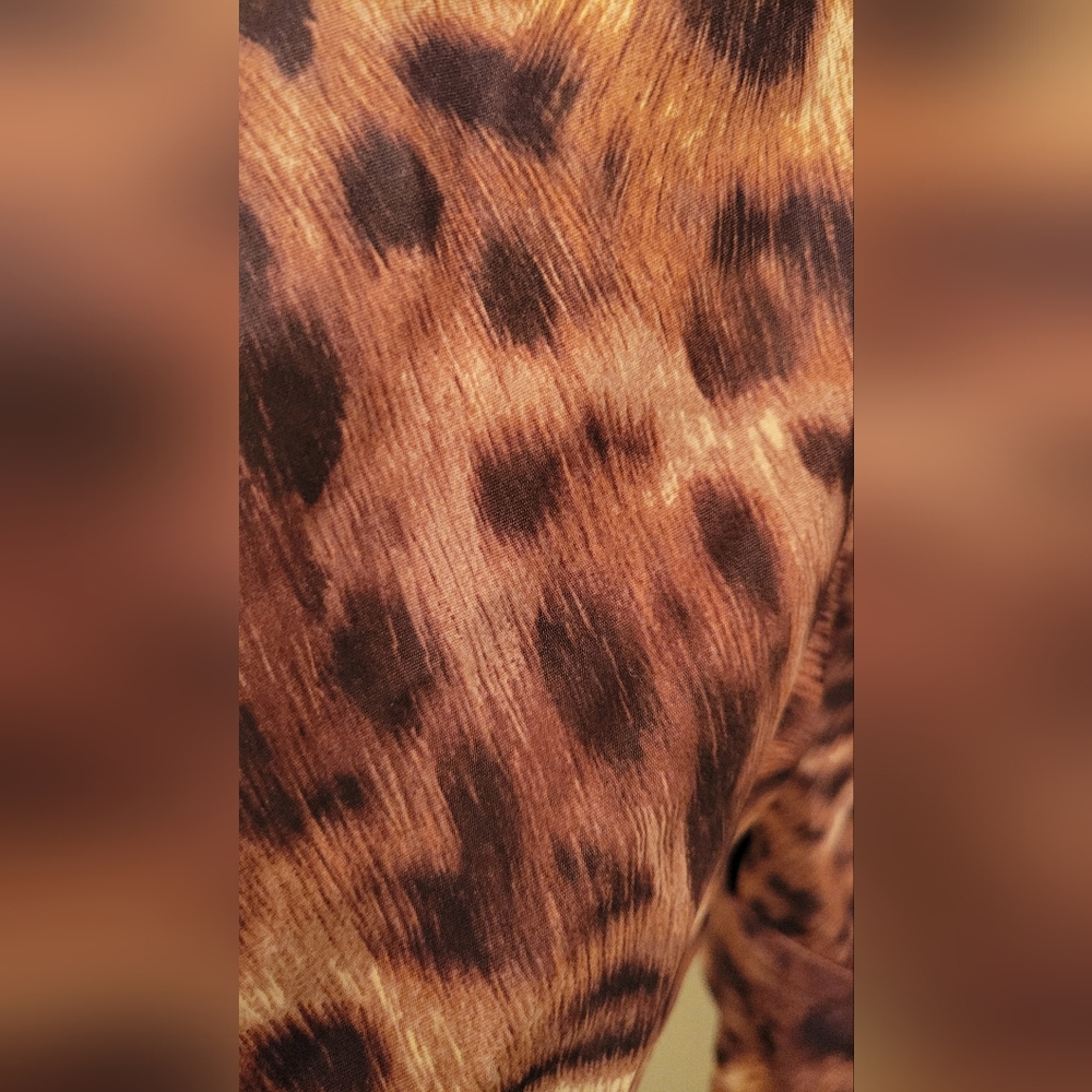 Leopard Print Jacket - Picture 3 of 4